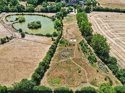 Picture 46